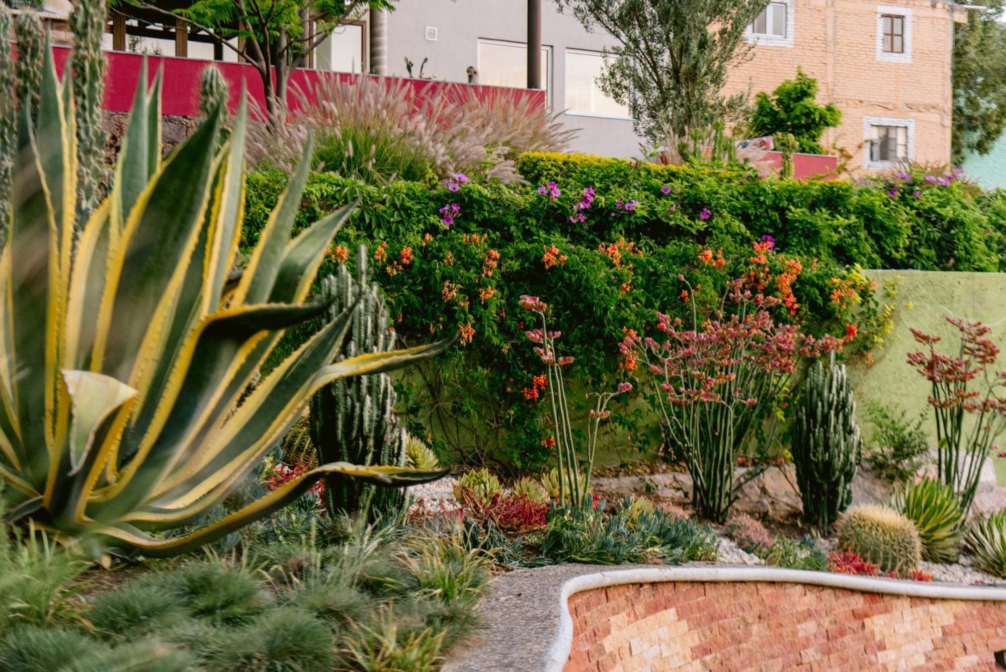 Terra Vista Aparthotel Guanajuato Buitenkant foto